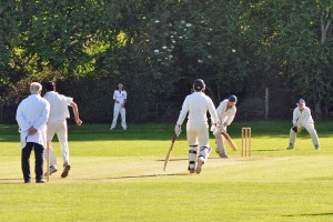 Great Missenden Pelicans CC skipper Alex dismissed vs Wayfarers