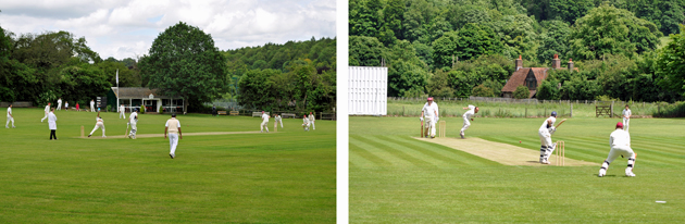 Cricket at Nag's Head Meadow, Great Missenden