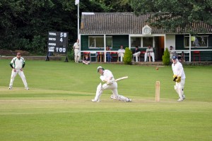 Great Missenden pelicans CC - Simon Tickler